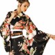 Kimono Kjoler